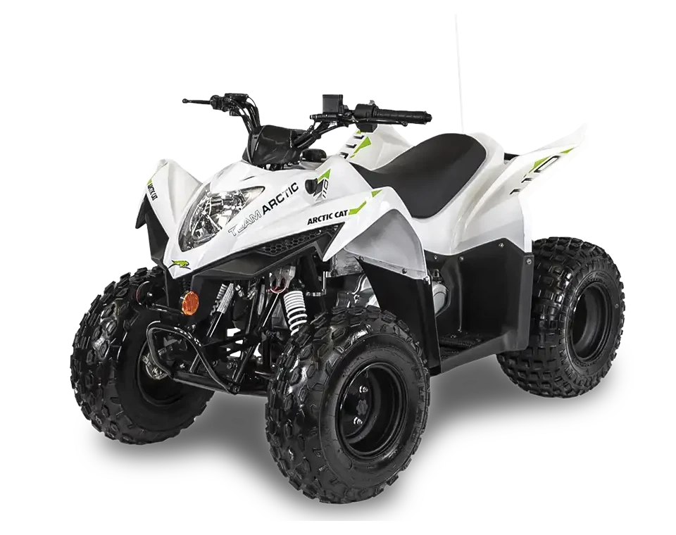 2027 Arctic Cat Alterra 110